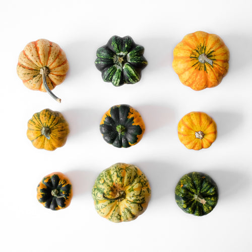 Gourds, pumpkins